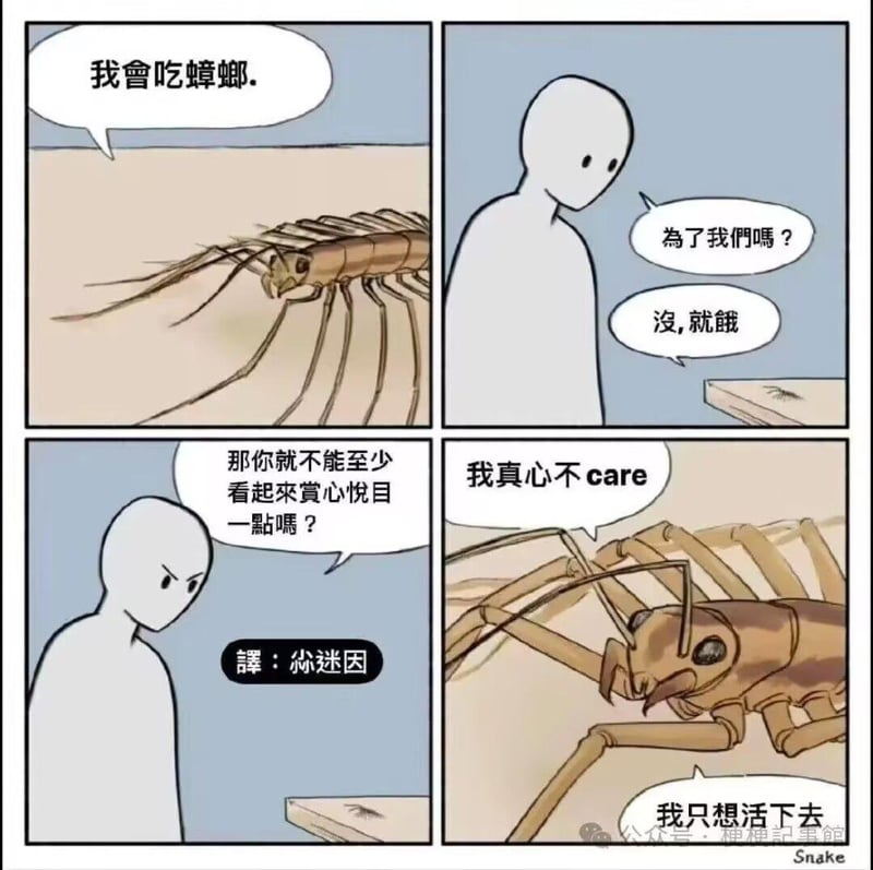 网络迷因漫画