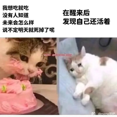 这是一张左右分栏的对比式meme图，通过两张猫咪相关的图片搭配反差文字，精准戳中当代人偶尔摆烂放纵后又后悔无奈的情绪。左侧是经过人脸与猫咪合成的趣味图像，这只合成猫正狼吞虎咽地啃食着粉色奶油蛋糕，上方配文“我想吃就吃 没有人知道 未来会怎么样 说不定明天就死掉了呢”，传递出一种及时行乐、不管不顾的摆烂心态；右侧是一只白棕相间的真实猫咪，它瘫靠在床头，眼神空洞、神态疲惫，仿佛被生活抽走了力气，上方配文“在醒来后 发现自己还活着”，呈现出放纵狂欢过后，面对现实的懊悔与无力。两张图的强烈反差，用幽默的方式调侃了人们在摆烂与现实之间的拉扯。