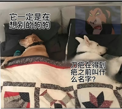 图片展示了两只狗狗躺在沙发上，盖着带有几何图案的被子。左边是一只棕色的狗，右边是一只白色的狗，两只狗都侧躺着，表情平静。图片左上角有文字“它一定是在想别的狗狗”，右下角有文字“刀疤在得到疤之前叫什么名字?”。右上角有一个《狮子王》中刀疤的卡通形象特写，表情愤怒。