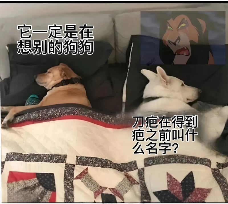 刀疤