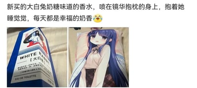 这是一则个人生活好物分享的图文内容，上方配文写道“新买的大白兔奶糖味道的香水，喷在镜华抱枕的身上，抱着她睡觉觉，每天都是幸福的奶香😆”，传递出温馨治愈的小确幸感。图片为左右拼接的静态实拍图，左侧是气味图书馆与大白兔联名的淡香水包装，包装延续了大白兔奶糖经典的蓝白红配色，印有大白兔的标志性图案，还标注有“WHITE RABBIT【大白兔】”“气味图书馆10周年×大白兔”“EAU DE TOILETTE”“净含量：15ml”等文字，说明这是一款还原大白兔奶糖香味的联名淡香水；右侧是印有《公主连结Re:Dive》角色镜华的抱枕，镜华有着深蓝色长发，面带微笑、神态柔和，以静态图案的形式呈现在抱枕上。