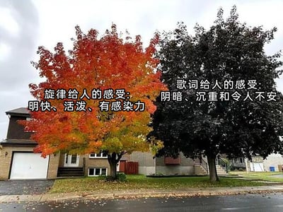 暂无描述