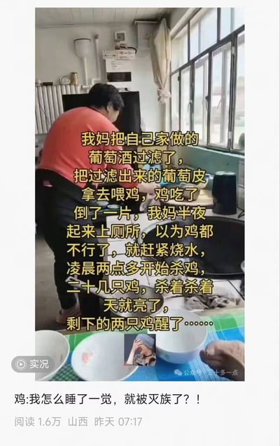 这是一张图文混排的搞笑生活梗图，上方为实拍的室内厨房场景，一位穿红色上衣的中年女性背对镜头站在厨房操作台前，图上叠加黄色文字讲述了一件充满戏剧性的乌龙事件：大妈将自制葡萄酒过滤后剩下的葡萄皮拿来喂鸡，鸡吃了含有酒精的葡萄皮后全部醉倒躺了一地，大妈半夜起夜看到后误以为鸡都病死了，连忙烧水准备处理，从凌晨两点多开始杀鸡，一共二十多只鸡，等她杀到天亮的时候，剩下的两只鸡才从醉酒状态醒过来。图片底部以鸡的第一视角配文吐槽“我怎么睡了一觉，就被灭族了？！”，整体内容诙谐荒诞，充满生活感的笑点。