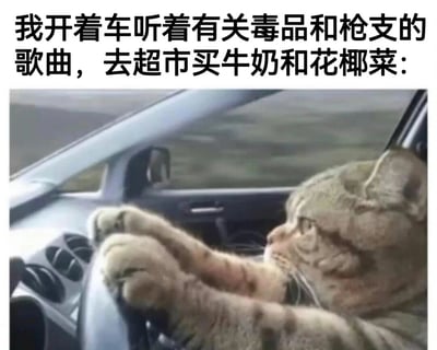 一只猫坐在汽车驾驶座上，前爪放在方向盘上，表情专注地'开车'。图片上方配有文字：'我开着车听着有关毒品和枪支的歌曲，去超市买牛奶和花椰菜：'，通过强烈的反差制造幽默效果，展现了日常生活中听着劲爆音乐做着平凡琐事的场景。