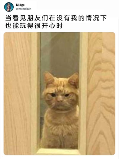 这是一张来自X平台（原Twitter）的社交媒体截图，用户Midge（@mxmclain）为其配上了中文文字“当看见朋友们在没有我的情况下也能玩得很开心时”。图中的橘色猫咪从木门的门缝里探出头，它眉头紧皱，眼神低垂，面部表情委屈又带着些许不满，完美契合了配文所描述的情绪——当发现自己不在场时，朋友们依然能愉快相处，那种被排除在外的失落、别扭又有点小委屈的心情被这只猫咪的表情生动地展现出来，很容易引发人们在社交场景中的情绪共鸣。