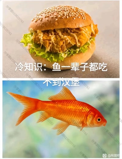 暂无描述