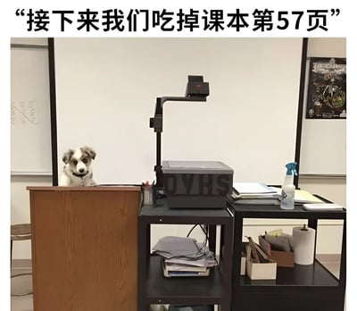 一只狗站在教室讲台后面，表情严肃，仿佛一位老师。图片上方配有文字“接下来我们吃掉课本第57页”，形成幽默效果。讲台旁边有投影仪等教学设备，背景是白板和教室环境。