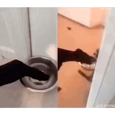 这是一个左右分栏的动态GIF，左侧呈现黑色裤子在水盆上方晃动的画面，右侧是一只黑狗的头部特写。随着画面动态变化，左侧裤子的形态与右侧黑狗的头部完美重合，形成“裤子就是狗头”的视觉错位效果，通过日常物品和动物的巧合画面，制造出荒诞又搞笑的反差感。