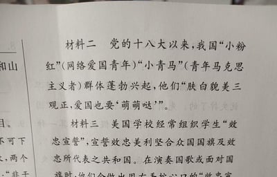这是一张纸质学习材料的翻拍图，包含两部分内容：材料二介绍党的十八大以来，中国的“小粉红”（网络爱国青年）、“小青马”（青年马克思主义者）群体蓬勃兴起，他们以“肤白貌美三观正，爱国也要‘萌萌哒’”的可爱风格表达爱国情怀；材料三介绍美国学校常组织学生进行“效忠宣誓”，向美国国旗及所代表的共和国宣誓效忠，呈现了中美两种不同的爱国教育相关形式。