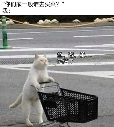 这是一张充满生活趣味的搞笑表情包，上方配文以提问的方式引出场景：“你们家一般谁去买菜？”，随后用一只被拟人化的白色猫咪代表“我”，猫咪站立着用两只前爪扶着黑色购物篮，脸上带着认真的神情，旁边配文“鱼、葱、姜....记住了”，生动还原了被家里安排去买菜时，努力记住需要采购的食材的状态，将日常的生活场景用可爱的猫咪形象表现出来，增添了诙谐感，很容易让有类似经历的人产生共鸣。