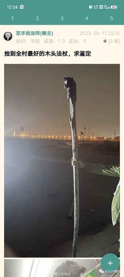 这是一张ACG相关论坛的帖子截图，楼主ID为双手剑法师，级别标注为学徒，发帖称自己捡到了全村最好的木头法杖并求网友鉴定，配图是一根在夜晚户外场景中被人举起的枯树枝，树枝顶端的造型被脑补成奇幻题材里法师法杖的杖头，将普通日常的枯树枝赋予奇幻道具的设定，通过现实物品与奇幻设定的反差感制造搞笑效果，图片底部和右下角带有微博水印和ACG沙雕图的标识。
