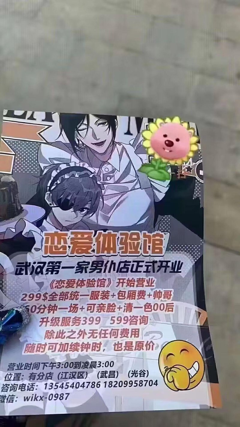 夏尔·凡多姆海恩