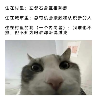 这是一张图文混排的搞笑梗图，上方用三段文字构建了社交场景的对比：先指出乡村是左邻右舍互相熟悉的熟人社交环境，城市则有更多认识新人的机会，随后点明作为住在村里的内向者的特殊处境——自己谁都不认识，但村里所有人都听说过自己。下方搭配了一张近距离拍摄的、眼睛瞪大表情震惊的猫咪图片，生动形象地表现出这种处境下内向者错愕、无奈又略带社死的复杂心情，精准戳中了内向者在熟人社交环境中的尴尬痛点，引发同类人群的共鸣。