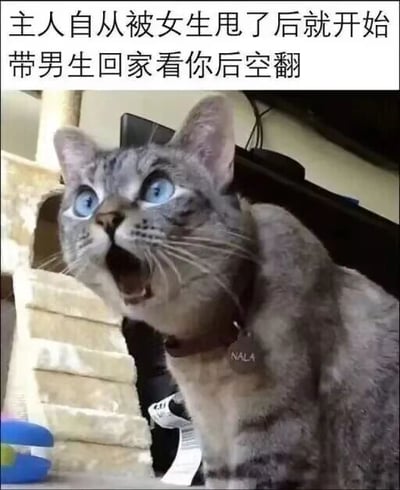 暂无描述