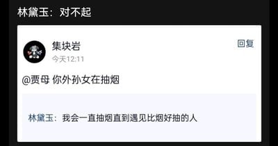 这是一张以社交媒体评论区形式呈现的恶搞梗图，将古典名著《红楼梦》中的角色林黛玉进行了现代化的人设重构。图中先是出现林黛玉的发言“对不起”，接着用户“集块岩”@贾母举报“你外孙女在抽烟”，随后林黛玉又抛出一句充满当代文艺颓废感的台词：“我会一直抽烟直到遇见比烟好抽的人”。通过给原本多愁善感的古典角色赋予不符合原作的现代行为与发言，制造出强烈的反差感，形成荒诞搞笑的效果，属于网络上流行的古典IP玩梗创作。