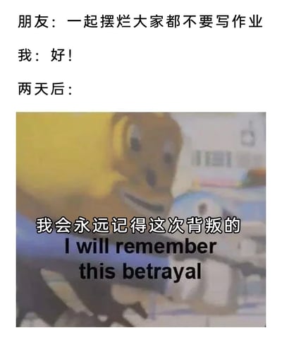 图片上方是三段文字对话：朋友提议“一起摆烂大家都不要写作业”，“我”爽快答应“好！”，两天后，下方配图是一个黄色卡通角色（表情委屈又带点怨念），图上叠加文字“我会永远记得这次背叛的 I will remember this betrayal”。整体用幽默方式展现学生时代常见的“约定摆烂却被对方偷偷完成作业”场景，充满调侃和无奈感。