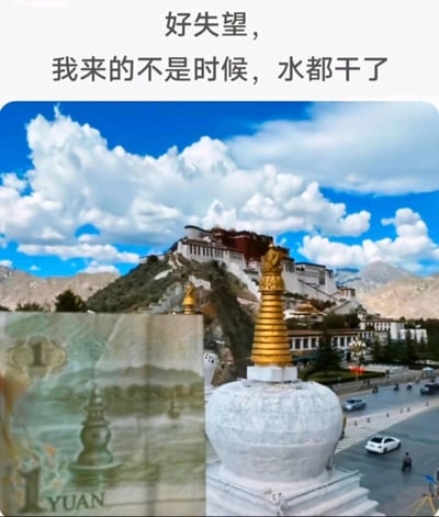 这是一张趣味反差梗图，上方配有文字“好失望，我来的不是时候，水都干了”，画面主体是布达拉宫的实景照片，左下角叠放了1元人民币的局部图案——人民币上的布达拉宫背景带有水面，而实景中并无这片水域，创作者通过将两者拼接，制造出“实景里的水已经干涸”的错觉，利用人民币图案与实景的差异制造幽默效果，用调侃的语气表达“实景和人民币图案不一样”的反差感。
