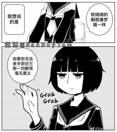 这是一组两格的原创黑白漫画：
第一格展示了水手服女生的上半身，配文表示“软绵绵的胸就像梦境一样”；
第二格是留着齐刘海短发的水手服少女，她表情冷漠，伸出手做出抓取的动作，旁边标注了“Grab Grab”的拟声词，配文说道“如果你无法亲手抓住它 那一切都将毫无意义”。
漫画用无厘头的方式，将“梦境般虚无的事物”和“抓胸”结合，用反差感的观点制造戏谑的效果，强调“亲手抓住”的实际意义。