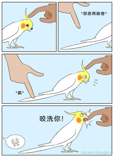 这是一则四格连环卡通漫画，描绘了玄凤鹦鹉被人类逗弄后反击的趣味场景：第一格中，一只棕色人类手抚摸玄凤鹦鹉的头部，鹦鹉神态平静；第二格中，一只浅色人类手对着鹦鹉的尾巴，配文标注“*邪恶两脚兽*”，表现出逗弄的意图；第三格中，浅色手戳向鹦鹉的尾巴，棕色手依旧摸着鹦鹉的头，此时鹦鹉已经眉头紧皱，露出愤怒的神情；第四格中，鹦鹉愤怒地张嘴咬向摸头的棕色手，喊出“咬洗你！”，左下角还有一个表现人类坏笑的气泡，生动还原了宠物被挑衅后反击的真实日常，充满搞笑趣味。