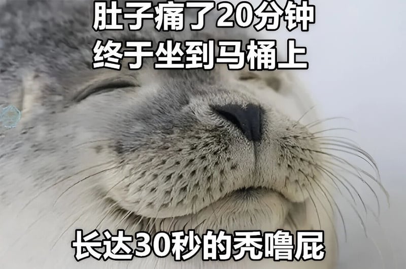海豹