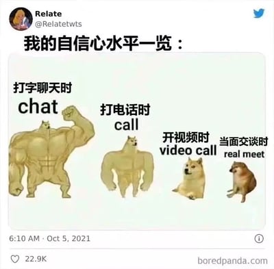 这张梗图用不同体型和表情的Doge狗，形象展示了“自信水平”随着交流方式从线上文字、语音、视频到现实见面，逐渐下降的搞笑趋势。左侧最强壮的Doge代表打字聊天时，自信爆棚；打电话时稍微变弱；视频通话时更普通；右侧最弱小的狗则代表现实面对面交流时的自信心降到最低。配合中英双语标签，梗图拥有很强的场景共鸣感，特别适合社恐人士吐槽自己的社交状态。

“chat/call/video call/real meet”配合中文标注，表达出现代人线上社交和线下社交的心理落差，镜像了不少网友的真实心情。

没有明显双关或谐音梗，但是利用了Doge meme表情的差异进行搞笑对比。