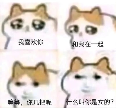 这是一张由四格mur猫表情包拼接而成的搞笑图，通过猫咪表情和对话的强烈反差制造荒诞笑点：前两格mur猫以泪眼汪汪、委屈恳求的神态向对方表白“我喜欢你”“和我在一起”，展现出期待又卑微的情绪；第三格猫咪表情突变，疑惑又嫌弃地质问“等等，你几把呢”；第四格猫咪则露出震惊无语的神态，发出“什么叫你是女的？”的灵魂质问。整个内容以夸张的方式表现出只对男性有好感的人在表白时发现对方是女性的翻车场景，用低俗又荒诞的反转来制造搞笑效果，契合网络社交中喜欢用反差梗博眼球的趣味取向。