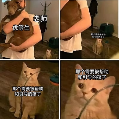 四格拼接图，展示了一位老师抱着棕色狗（标注为'优等生'），而背景中一只白色猫（标注为'那个需要被帮助和引导的孩子'）被忽视的场景。通过动物拟人化，幽默讽刺地表现了教育场景中老师可能更关注优秀学生而忽视需要帮助的学生的现象。