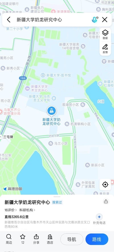 这是一张竖屏手机端高德地图的搜索结果截图，搜索关键词为“新疆大学奶龙研究中心”，地图中蓝色定位图标标注出了该地点的位置，该地点位于新疆大学乌鲁木齐校区范围内，被归类为科研机构，显示和当前搜索位置的直线距离为3265.6公里，标注的详细地址为新疆维吾尔自治区乌鲁木齐市天山区仲实路与沈雁冰路交叉口西南80米，地图界面同时显示了周边的新疆大学图书馆、新疆大学马克思主义学院、红湖、多个居民小区等地点信息，界面底部设有周边、收藏、分享、导航、路线等常规地图功能按钮。