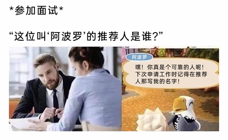 职场面试官