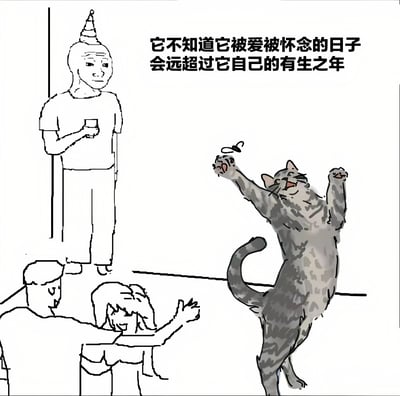 这是一张包含简单线条画和详细猫插图的图文混排图片。左侧有一个戴锥形帽的人手持杯子站立，下方有两个人物，一个坐着，一个抱头。右侧是一只站立的灰猫，前爪抬起似乎在玩耍。图片上方有文字："它不知道它被爱被怀念的日子会远超过它自己的有生之年"，表达了对猫的喜爱和怀念之情将比猫的寿命更长久的情感。