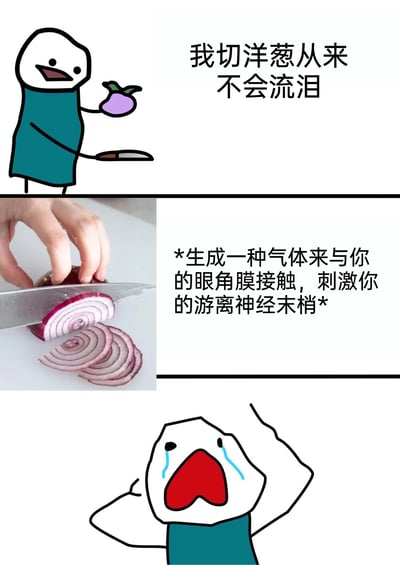 这是一幅三格连环梗图，第一格是穿着蓝绿色围裙的卡通小人，手持洋葱和菜刀，自信满满地宣称“我切洋葱从来不会流泪”；第二格是现实中切洋葱的实拍照片，配文科普切洋葱时会生成气体接触眼角膜、刺激神经末梢的流泪原理；第三格是同一个卡通小人，双眼涌出泪水，双手抱头呈现崩溃大哭的状态。整幅图通过自信立flag到瞬间被打脸的反差感制造笑点，同时科普了切洋葱流泪的科学原因，贴近生活日常，容易引发共鸣。