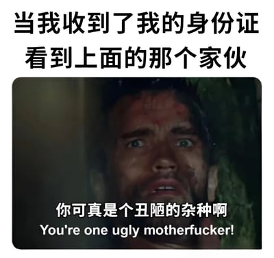 这张梗图上方有文字'当我收到了我的身份证看到上面的那个家伙',下方是电影《银翼杀手》中瑞克·戴克的震惊表情截图,图片上叠加文字'你可真是个丑陋的杂种啊'及其英文翻译'You're one ugly motherfucker!'。通过电影中角色的夸张震惊表情,幽默地表达了人们看到自己身份证照片时的常见反应,带有自嘲和搞笑的意味。
