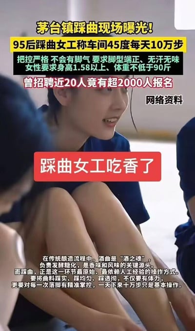 这张图曝光了茅台镇踩曲女工的工作与招聘细节：95后踩曲女工透露车间温度达45度，每天要走10万步；招聘把控严格，要求应聘者脚型端正、无汗无味、无脚气，女性需身高1.58米以上、体重不低于90斤；曾招聘近20人却有超2000人报名，可见岗位热度。同时科普了踩曲在传统酿酒中的核心地位——作为酒曲制作的关键人工环节，是“酒之魂”的源头，需要精准把控踩曲的力度与均匀度，十分考验体力与经验。
