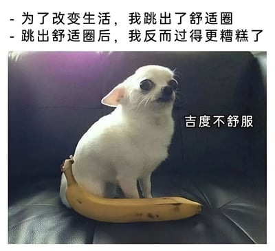 图片上方配有文字“为了改变生活，我跳出了舒适圈 - 跳出舒适圈后，我反而过得更糟糕了”，下方是一只白色吉娃娃小狗坐在黑色皮沙发上的香蕉皮上，表情看起来很不舒服，旁边配有文字“吉度不舒服”。图中使用了谐音梗，“吉度”谐音“极度”，结合吉娃娃的“吉”字，幽默表达了跳出舒适圈后的不适状态。