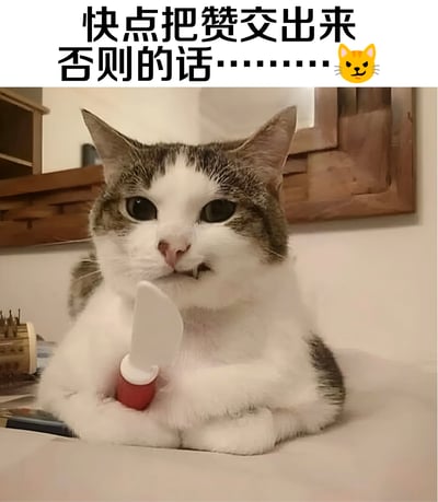 一张搞笑梗图，上方配有文字“快点把赞交出来 否则的话……😼”，下方是一只灰白相间的猫咪，表情严肃，前爪抱着一把带有红色手柄的小刀，做出威胁的姿态。图片通过猫咪可爱外表与威胁行为的反差制造幽默效果，以俏皮的方式请求点赞。