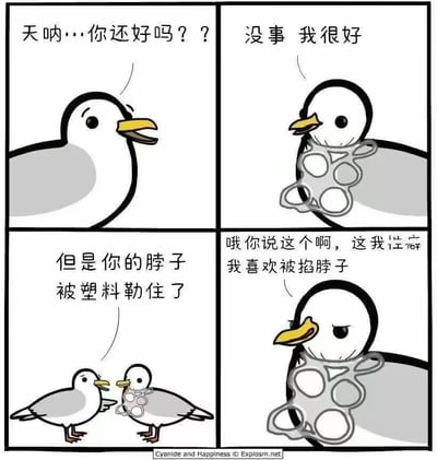 这是一幅四格漫画，描绘了两只海鸥的搞笑对话。第一格中，一只海鸥（海鸥A）惊讶地问另一只海鸥（海鸥B）：“天呐…你还好吗？？”。第二格中，海鸥B淡定地回答：“没事 我很好”，但可以看到它的脖子上套着一个塑料环。第三格中，海鸥A指出：“但是你的脖子被塑料勒住了”。第四格中，海鸥B不以为意地说：“哦你说这个啊，这我习惯了 我喜欢被掐脖子”。漫画通过这种反差萌的对话制造幽默效果，同时也隐晦地反映了海洋塑料污染问题。