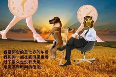 图片背景为夕阳下的金色麦田，天空呈现渐变的蓝橙色调。画面左侧和右侧各有一个巨大的时钟，钟面为粉色，钟下连接着穿着白色高跟鞋的人类腿部，仿佛时钟在行走。中间偏左位置，一只棕色的狗后腿站立在木质椅子上，面向右侧。右侧有一个上身为人（穿着白色衬衫、黑色领带和黑色西裤）、头部为猫头鹰的形象，正坐在黑色办公椅上，手持笔记本和笔，似乎在记录。图片底部左侧有白色文字：“我最怀念的是七岁的午后 我和狗狗一起在麦田里坐着 过了很久也没有厌烦 察觉不到时间的流逝”。整体通过时钟腿（象征时间流逝）、猫头鹰头人（可能象征成人世界的记录/压力）与童年记忆中的麦田、狗狗形成对比，表达对无忧无虑童年时光的怀念。