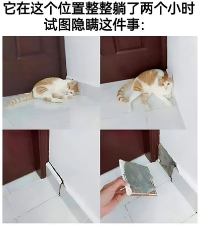 这是一张四格拼接图，展示了一只橘白相间的猫试图掩盖自己弄坏墙壁的搞笑场景。第一张图中猫咪蜷缩在墙角，第二张图猫咪抬头露出心虚的表情，第三张图显示猫咪离开后墙角的墙壁破损情况，第四张图中一只手正在捡起猫咪弄坏的墙皮碎片。整个系列通过猫咪的行为展现了宠物调皮后试图掩盖错误的可爱瞬间。