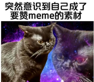 图片上方配有醒目文字'突然意识到自己成了要赞meme的素材'，下方是一只黑猫的图像。黑猫主体为黑色，毛发带有细微光泽，眼神中透露出困惑与思索的神情。背景是深邃的宇宙星空，布满紫色和蓝色的星云及闪烁的星星，营造出超现实的氛围。整体构图通过文字与图像的结合，形成一种幽默的自我意识表达，仿佛猫咪真的在思考自己成为网络梗图素材的处境。