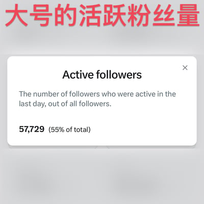 这张图顶部用醒目的红色大字标注“大号的活跃粉丝量”，下方嵌入了X平台的Active followers功能弹窗，弹窗对该功能进行了说明，即统计过去一天内处于活跃状态的粉丝在总粉丝中的占比，当前展示的账号活跃粉丝数量为57729，对应占总粉丝数的55%，整体是对X新开放的粉丝数据功能的展示。