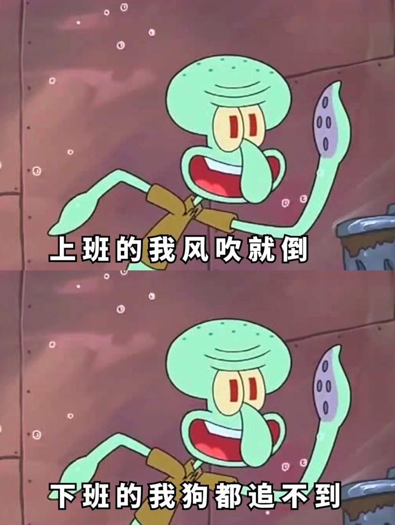 章鱼哥