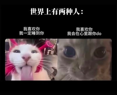 这是一张左右分栏的对比类梗图，顶部配有文字“世界上有两种人：”，将人群按照面对喜欢的人的心态分为两类。左侧是一只被红色吹风机吹脸的白色猫咪，脸部被吹得变形，吐出舌头，表情滑稽搞怪，对应文字“我喜欢你 我一定睡到你”，用来代表直接外放、大胆表达欲望的恋爱观；右侧是一只眼睛瞪大的灰色猫咪，眼神带着震惊与羞涩感，对应文字“我喜欢你 我会在心里跟你do”，用来代表内敛、仅在内心幻想的恋爱观，用猫咪的搞笑形象调侃了两种截然不同的情感表达心态。