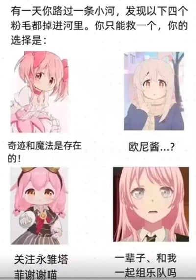 这是一张动漫角色选择类梗图，上方配有文字场景描述："有一天你路过一条小河，发现以下四个粉毛都掉进河里。你只能救一个，你的选择是："。图中展示了四个不同的粉色头发动漫角色，每个角色下方都有对应的台词。左上角色穿着白色衣服，扎着双马尾，台词为"奇迹和魔法是存在的！"；右上角色穿着蓝色外套，表情疑惑，台词为"欧尼酱...?"；左下角色是虚拟主播永雏塔菲，戴着猫耳头饰，台词为"关注永雏塔菲谢谢喵"；右下角色表情认真，台词为"一辈子、和我一起组乐队吗"。通过创设只能救一个角色的虚构困境，引发动漫爱好者的选择讨论和共鸣。