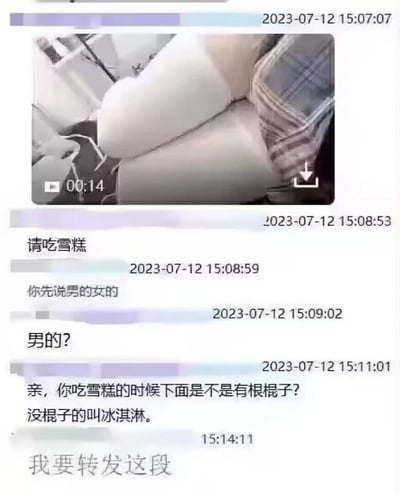 这是一张2023年7月12日的社交聊天记录截图，上方首先发送了一个时长14秒的人物视频预览图，随后对话双方开启互动：一方发出“请吃雪糕”的邀约，另一方先询问对方性别，在猜测是男性后，发起邀约的一方用“吃雪糕有棍子，没棍子的叫冰淇淋”的表述玩低俗内涵梗，最后对话的另一方表示要转发这段对话，整个内容是网友用日常事物的区别创作的低俗趣味聊天内容。