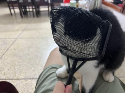 这是一张家庭场景下的实拍图，一只黑白配色的奶牛猫站在人的腿上，它的脑袋被一个黑色的捞鱼网整个罩住，露出的眼神看起来委屈又无奈，画面充满趣味感，是主人和宠物互动时的趣味抓拍，没有双关或谐音梗内容。