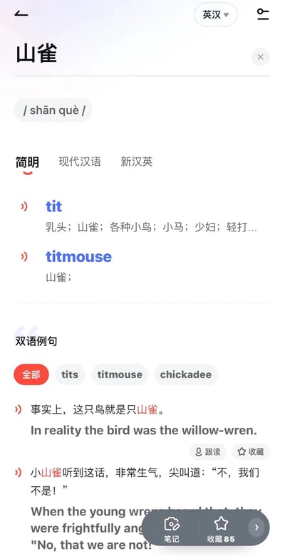 该图片为词典应用的屏幕截图，用户查询“山雀”（shān què）时，界面显示其英文翻译“tit”具有多重含义，包括“乳头；山雀；各种小鸟；小马；少妇；轻打...”等，下方还有“titmouse”明确对应“山雀”及双语例句。因“tit”的多义性中包含较为俚俗或不相关的释义（如“乳头”“少妇”），与“山雀”这一鸟类名称形成有趣对比，产生幽默效果。