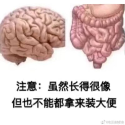 图片左侧为大脑解剖示意图，右侧为肠道解剖示意图，两者在外观上均呈现褶皱状结构。图片下方配有文字：'注意：虽然长得很像但也不能都拿来装大便'，通过对比两者相似的外观制造幽默效果，调侃将大脑与肠道功能混淆的荒谬感。