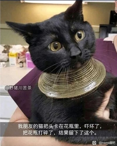 这张图片呈现了一只遭遇意外的黑色猫咪，它被人用手臂抱着，脖子上套着一个陶瓷花瓶的颈部碎片。猫咪眼睛圆睁，眼神里满是惊恐，显然还没从刚才的惊吓中平复下来。图片下方的文字说明了事件的来龙去脉：这只猫把头卡进了花瓶里，因为过度惊慌打碎了花瓶，却留下了这个套在脖子上无法挣脱的“项圈”。整个场景既让人觉得猫咪的遭遇有些滑稽好笑，又会因为它受惊的模样感到心疼，是一则记录宠物趣味又窘迫日常的实拍内容。