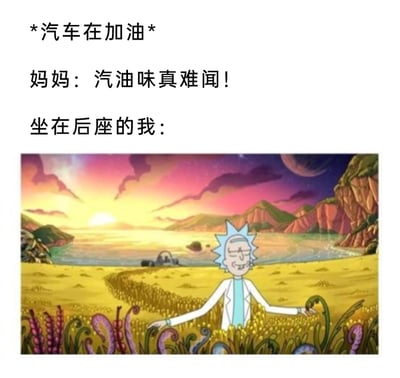 这是一张反差感趣味梗图，通过图文结合的形式呈现日常场景里的不同反应：文字部分设定场景为汽车正在加油，妈妈表达了对汽油味的厌恶，而后座的“我”则用动画《瑞克和莫蒂》中瑞克陶醉地置身于美丽外星田野的画面来表现，鲜明地体现出“我”对汽油味的喜爱，和妈妈的反应形成强烈反差，充满诙谐感，精准戳中部分人喜欢汽油味的日常小偏好。