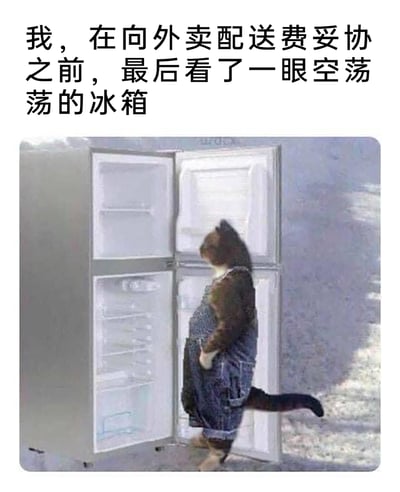 这是一张充满生活共鸣的P图梗图，画面呈现了一个猫头人身、穿着牛仔背带裤的形象，双手插在口袋里，站在完全空无一物的双开门冰箱前，搭配上方的文字“我，在向外卖配送费妥协之前，最后看了一眼空荡荡的冰箱”，精准刻画了当代年轻人（尤其是打工人）在点外卖时的纠结心态：既心疼外卖配送费，又无奈家中没有可食用的食物，最终只能妥协点外卖的无奈又真实的日常状态，用拟人化的搞笑形象放大了这种生活中的小纠结，容易引发网友的情感共鸣。